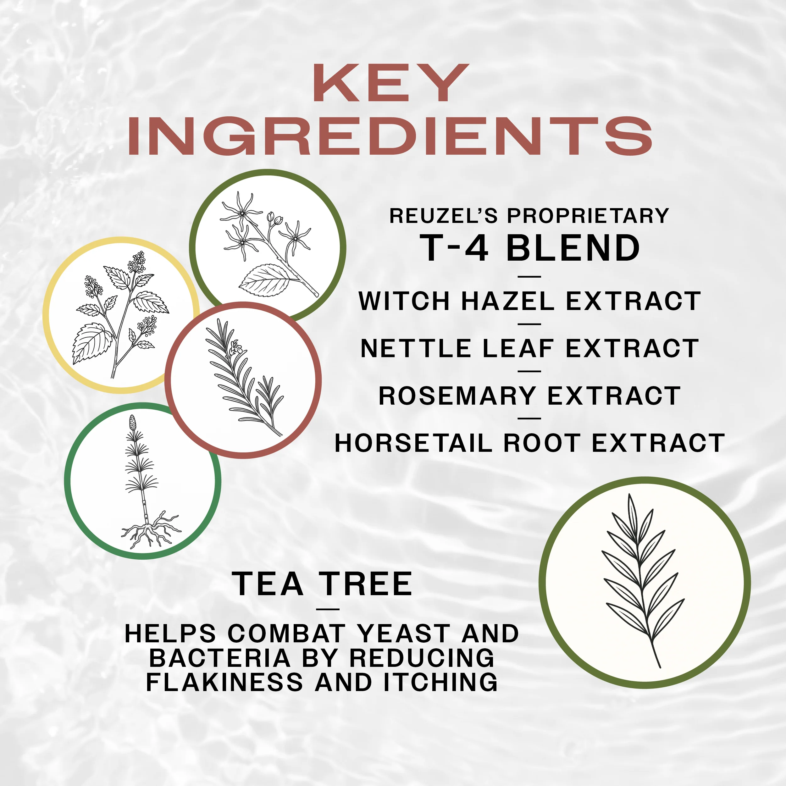3 in 1 Tea Tree Shampoo - Image 4